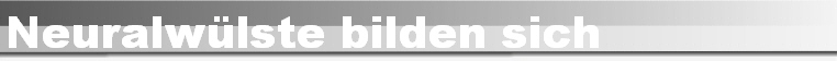 Neuralw�lste bilden sich