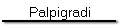 Palpigradi