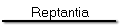 Reptantia