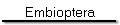 Embioptera