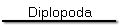 Diplopoda