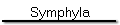 Symphyla