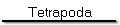 Tetrapoda