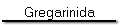 Gregarinida